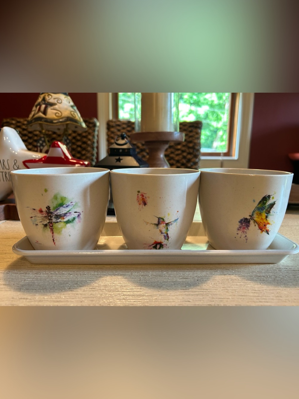Set of 3 Small Flower Pots with Watercolor Hummingbird/Butterfly & Dragonfly
